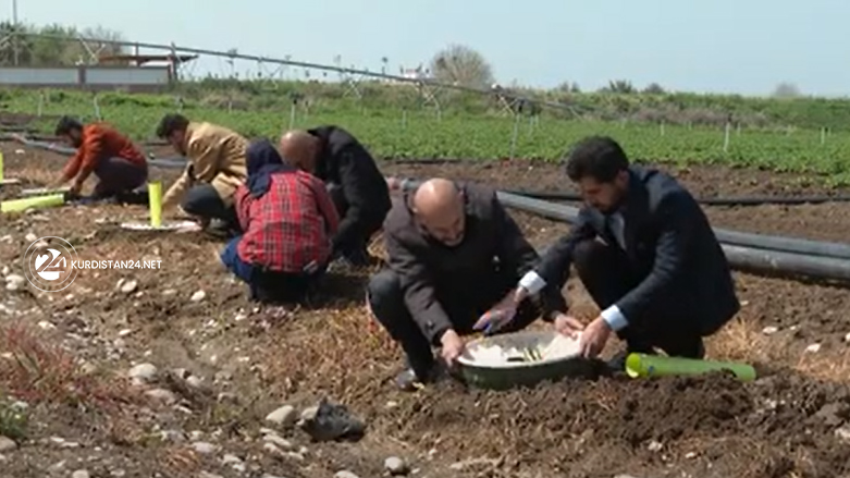 مزارعون من آكري (عدسة كوردستان 24)